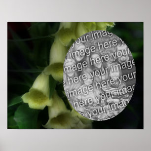 Intense Foxglove Flowers Frame Add Your Photo Poster