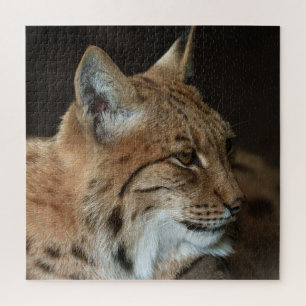 Intense Gaze: Close-up of a Lynx Jigsaw Puzzle
