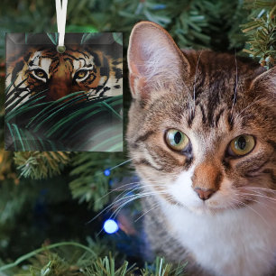 Intense Green Jungle Tiger Eyes Wildlife Leaves Glass Tree Decoration