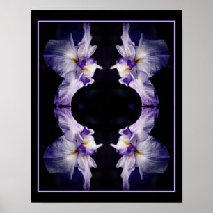 Intense Japanese Iris Flower Close Up Abstract Poster