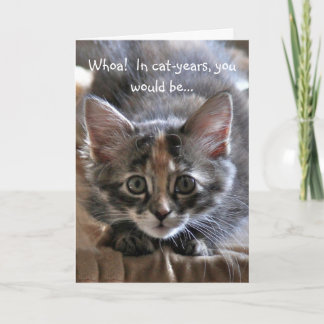 Intense Kitten Happy Birthday Card