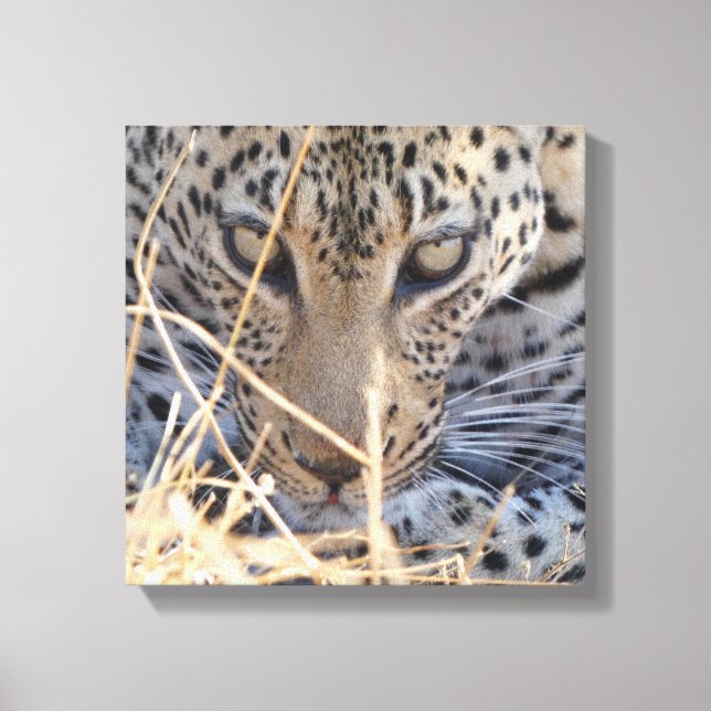 INTENSE LEOPARD EYES CLOSE-UP CANVAS PRINT (Front)