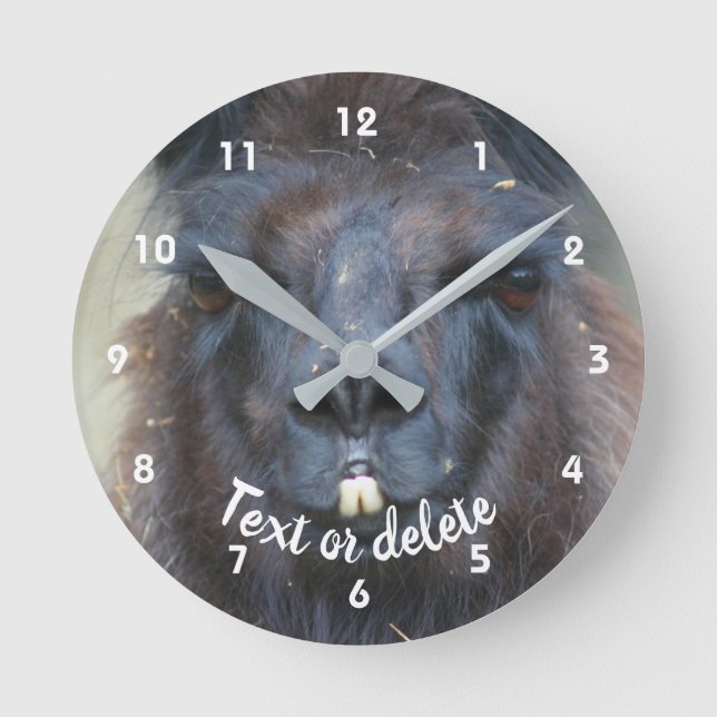 Intense Llama Face Close Up Personalised  Round Clock (Front)