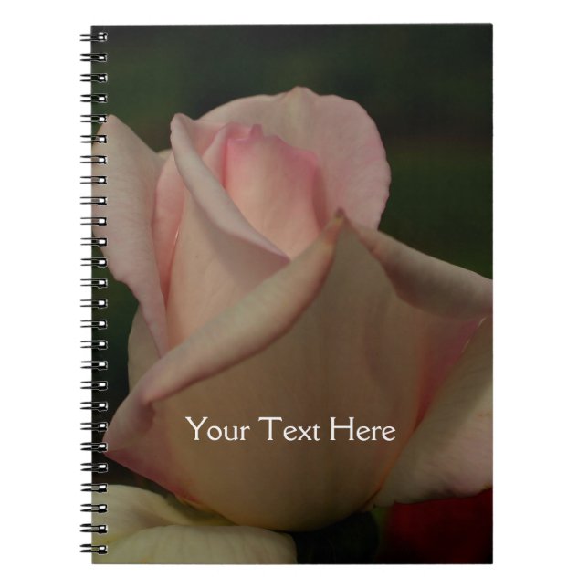 Intense Pink Rosebud Flower Nature Notebook (Front)