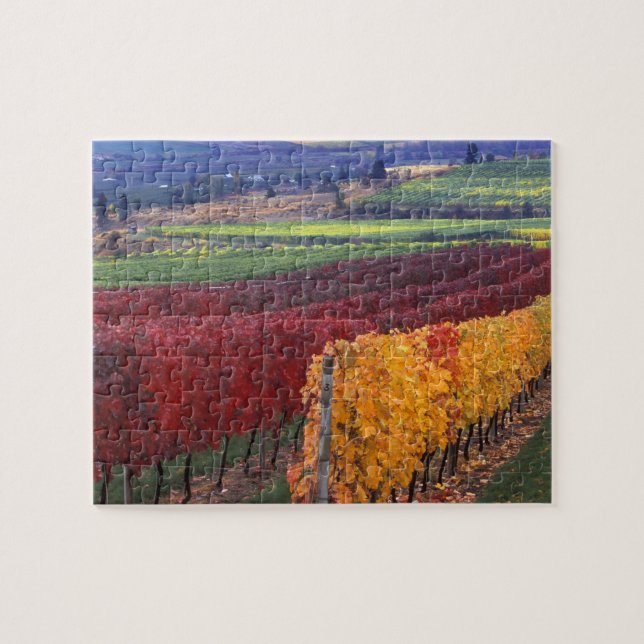 Intense red and yellow fall colours on Gehring Jigsaw Puzzle (Horizontal)