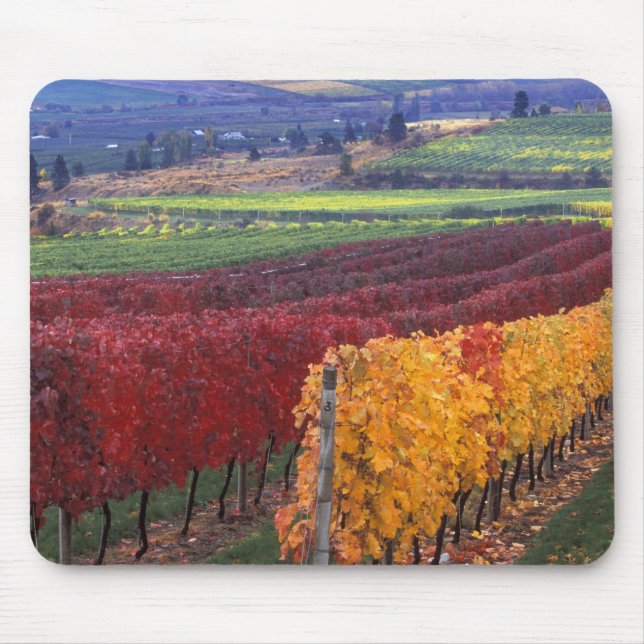 Intense red and yellow fall colours on Gehring Mouse Mat (Front)