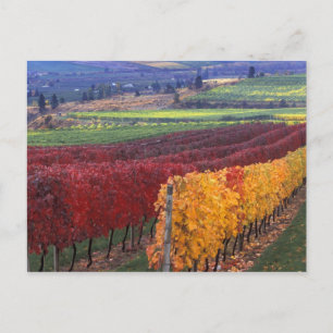 Intense red and yellow fall colours on Gehring Postcard
