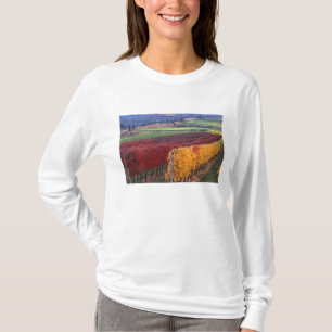 Intense red and yellow fall colours on Gehring T-Shirt