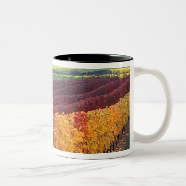 Intense red and yellow fall colours on Gehring Two-Tone Coffee Mug (Right)