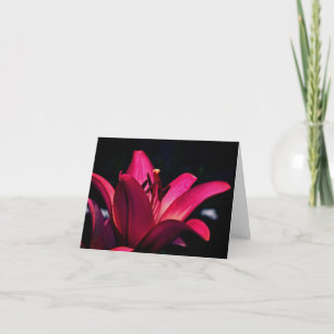 Intense Red Lily Flower Photography  Note Card