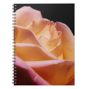 Intense Yellow Rose Flower Nature Notebook