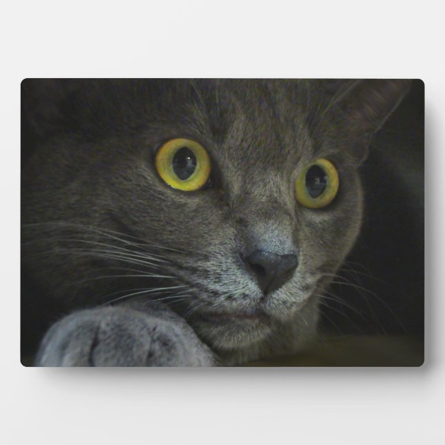 Intensity Photo Plaque (Front)