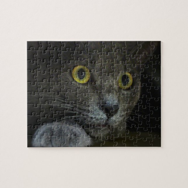 Intensity Puzzle (Horizontal)