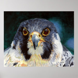 Intensity - The Falcon's Gaze Poster