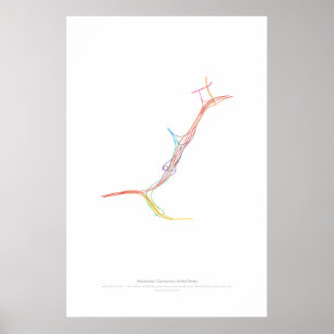 Interchange Choreography: Manchester, CT, US Poster