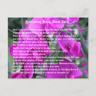 Interesting facts about April Postcard