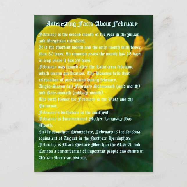 Interesting facts about February Postcard (Front)