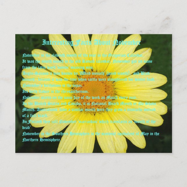 Interesting Facts about November Postcard (Front)