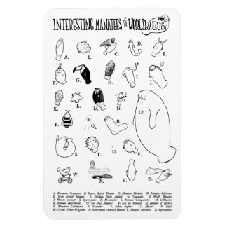 Interesting Manatees magnet