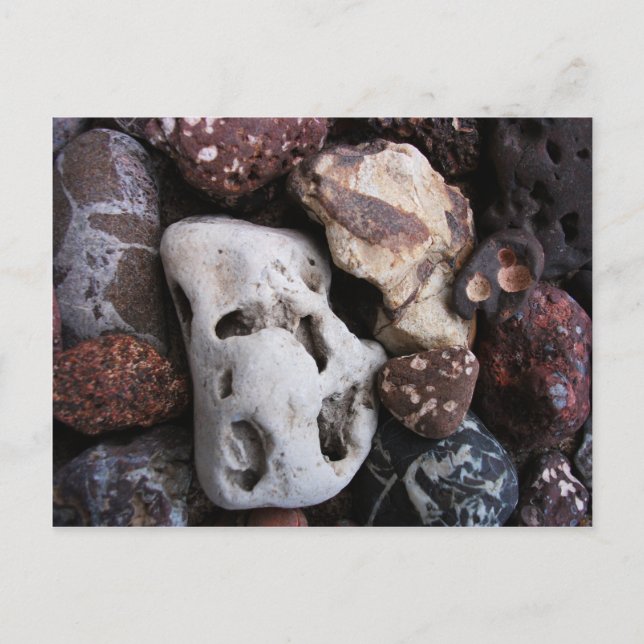 Interesting Rocks from Lake Michigan Shore Postcard (Front)