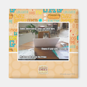 Interesting sites magnet