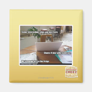 Interesting sites magnet