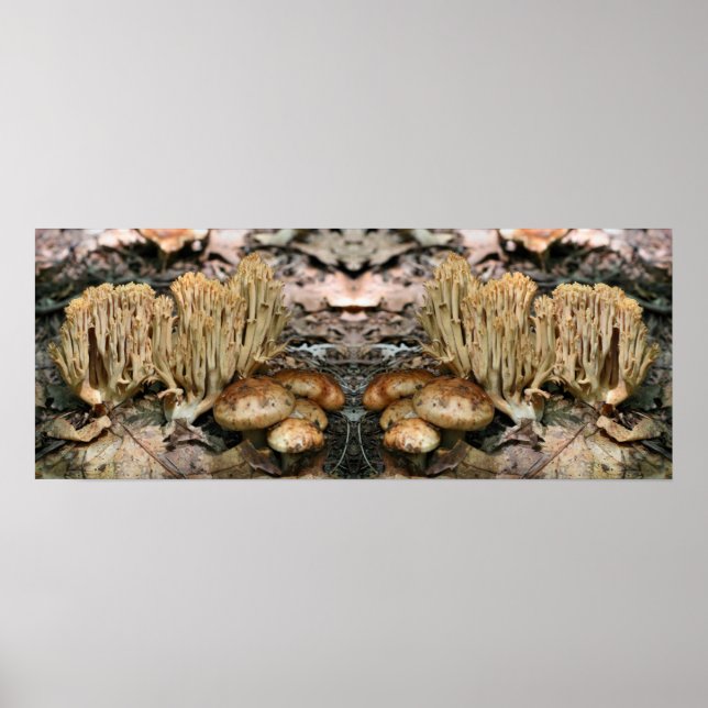 Interesting Wild Mushrooms Mirror Abstract Poster (Front)