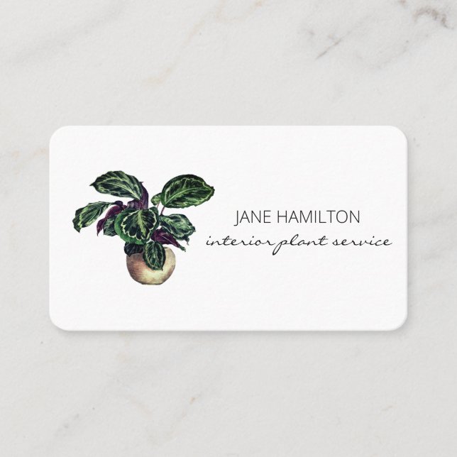 Interior Design Plant Service Business Card (Front)