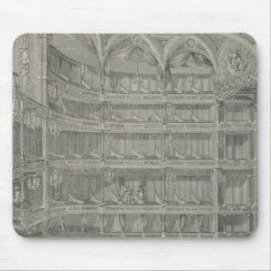 Interior of the Late Theatre Royal, Drury Lane, in Mouse Mat