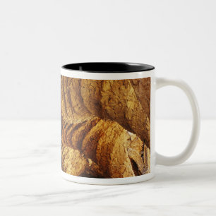 Interior vault (stone) Two-Tone coffee mug
