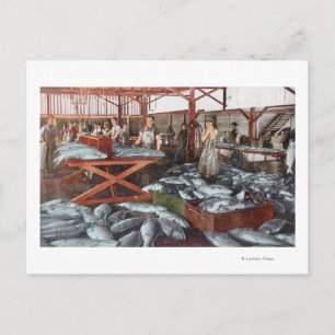 Interior View of a Salmon Cannery Postcard