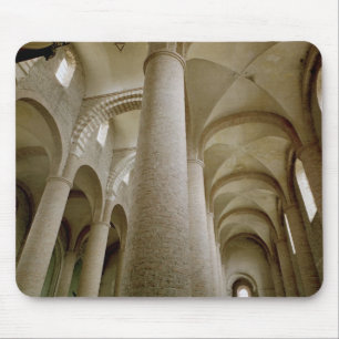 Interior view of the nave and the vaulting mouse mat