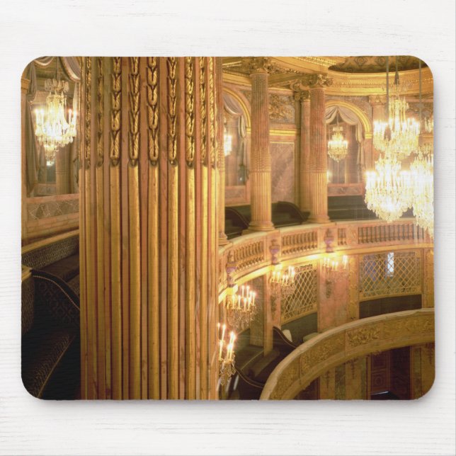 Interior view of the Opera House looking towards t Mouse Mat (Front)