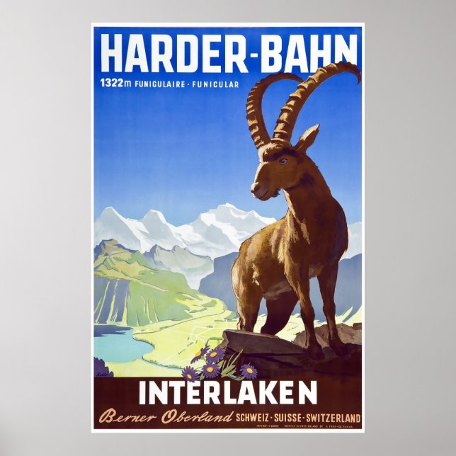 Interlaken,Switzerland,Ski Travel Poster (Front)