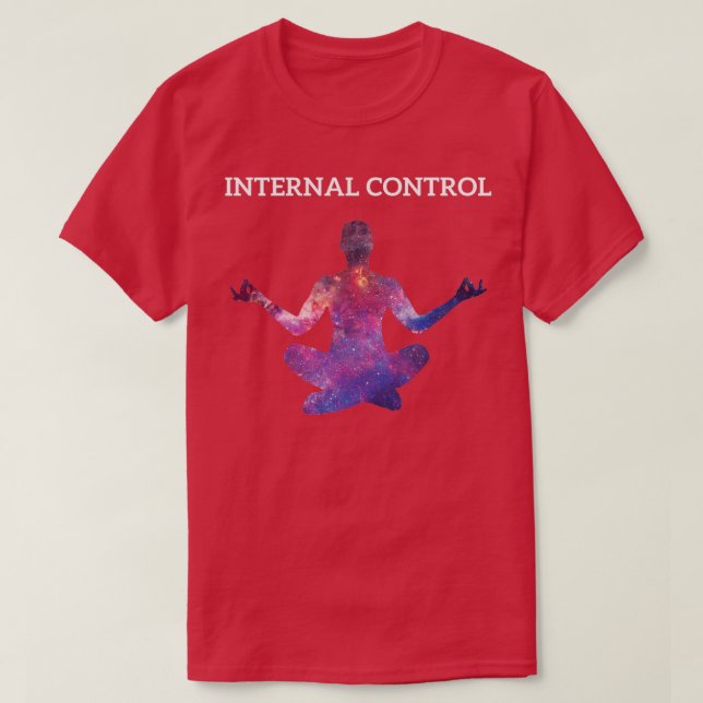 Internal Control Accountant Apparel T-Shirt (Design Front)