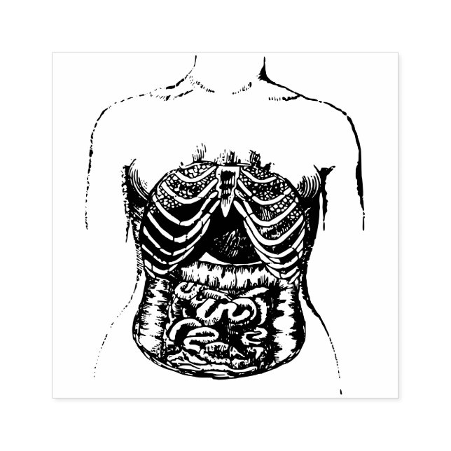 Internal intestines rubber stamp (Imprint)