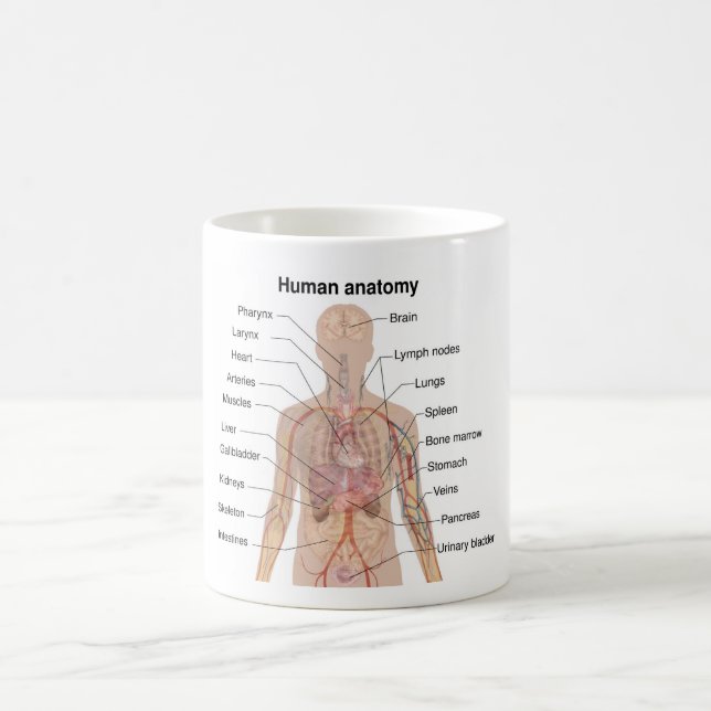 Internal Organs Human Body Anatomy Chart Coffee Mug (Center)
