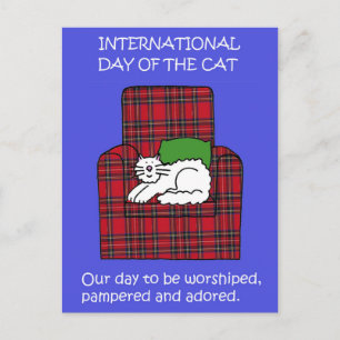 International Cat Day August 8th Cartoon Postcard