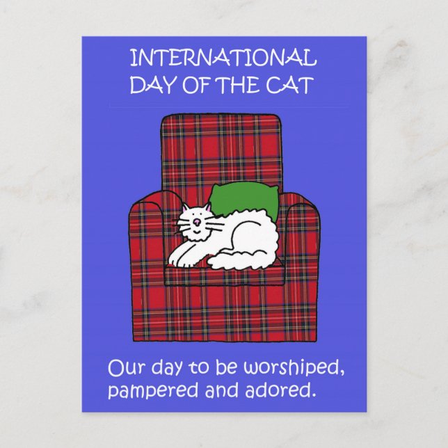 International Cat Day August 8th Cartoon Postcard (Front)