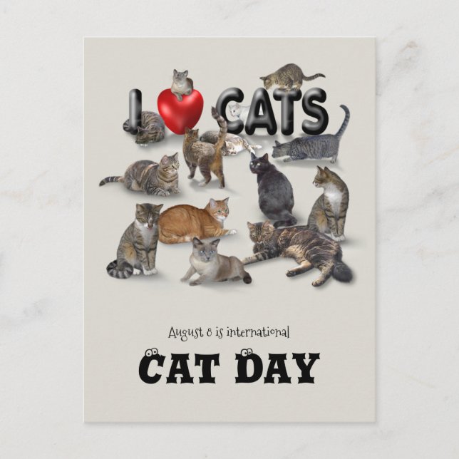 International Cat Day Postcard (Front)