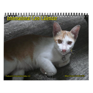 International Cats Calendar
