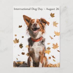International Dog Day Australian Shepherd Art Postcard