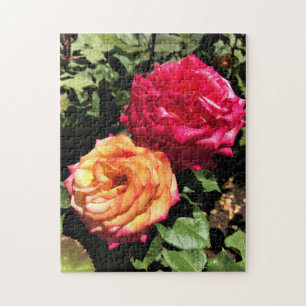 International Rose Test Garden, Portland, Oregon Jigsaw Puzzle