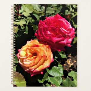 International Rose Test Garden, Portland, Oregon Planner