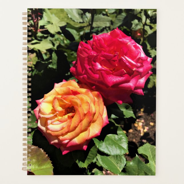 International Rose Test Garden, Portland, Oregon Planner (Front)