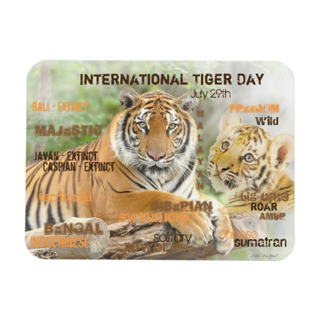 International Tiger Day, July 29, Typography Art Magnet (Horizontal)