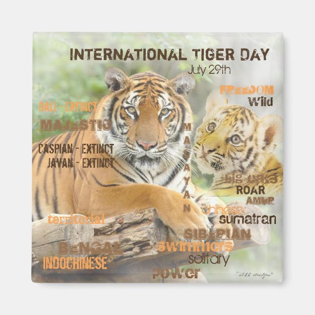 International Tiger Day, July 29, Typography Art Magnet (Front)