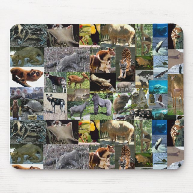 internet safari mousemat (Front)