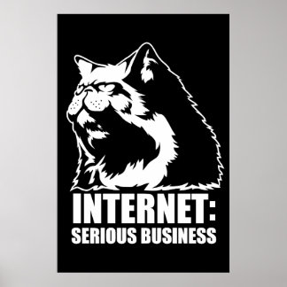 Internet: Serious Business (lolcat funny tshirt) Poster