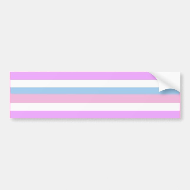 INTERSEX PRIDE FLAG BAR BUMPER STICKER (Front)